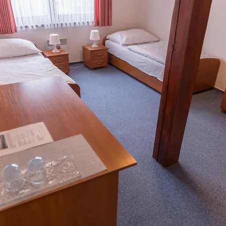 Guest house Penzion Trnova *
